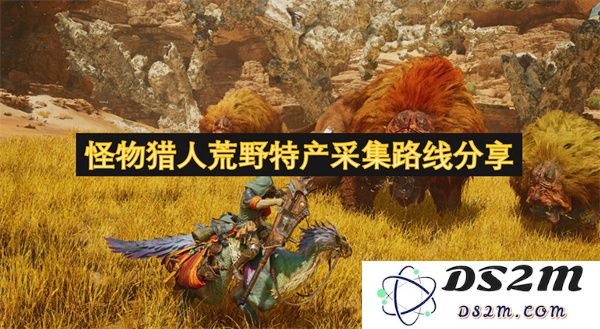 怪物猎人荒野中的特产采集路线分享与攻略推荐