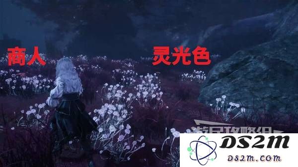 《光与影33号远征队》无尽夜圣所探索攻略 无尽夜圣所全收集指南：探寻秘境的无穷魅力，尽揽奇珍异宝！