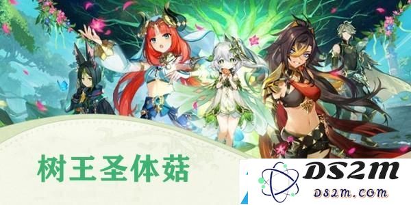 原神树王圣体菇采集地点及最佳战斗策略：如何实现输出与生存的完美平衡