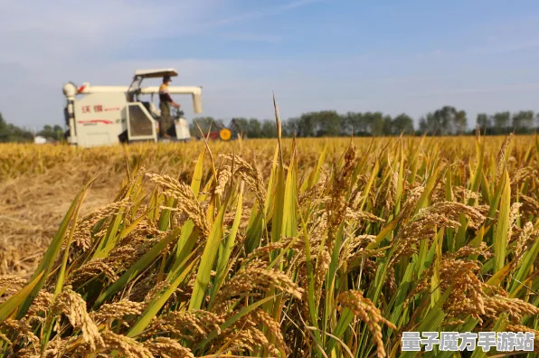 2025年发售日期确认！《农场小镇》预购特典详细解析与实测数据曝光