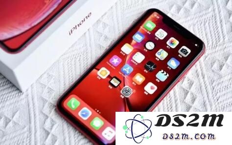 春节团圆之际，应该为父母选择哪款苹果iPhone最合适呢？
