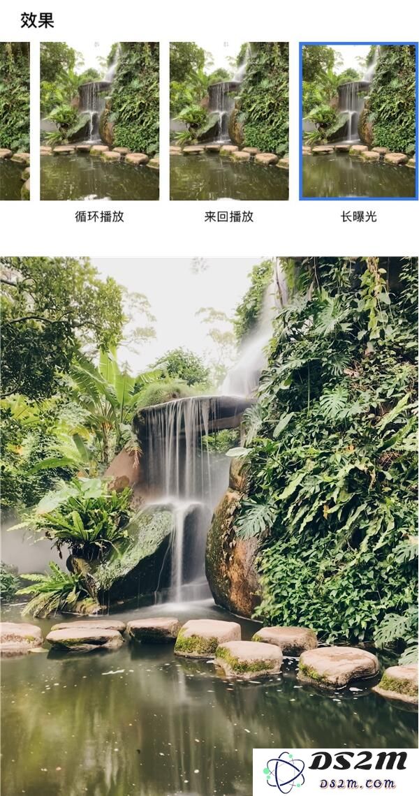 iPhone XR 如何拍摄出好照片?iPhone XR拍摄技巧