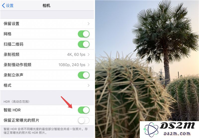 iPhone XR 如何拍摄出好照片?iPhone XR拍摄技巧