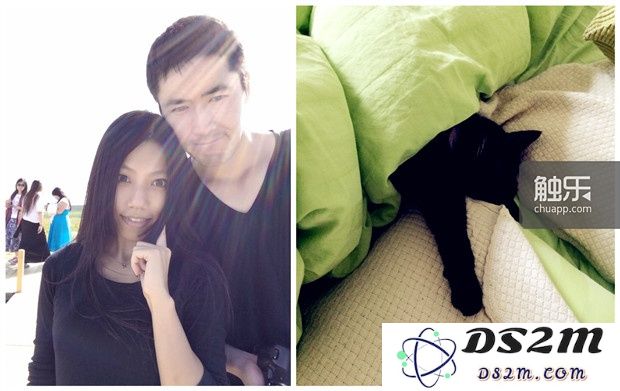 喵魂太太累的时候会和大帅猫小眯一会儿