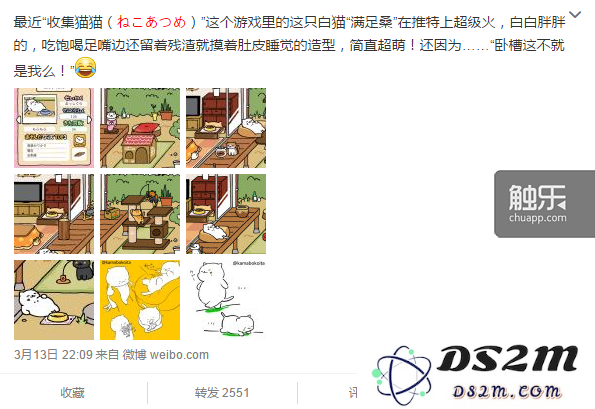 《猫咪后院》：一款小型游戏如何以意想不到的方式带来巨大的成功和创意