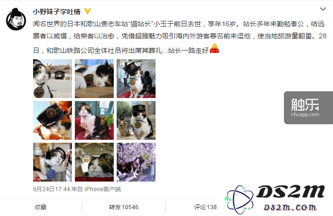 QQ图片20150625131138