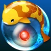 Race The Sun Zen Koi Classic