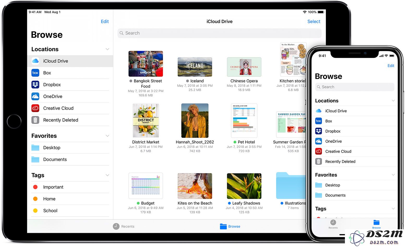 为什么 iPhone 的文件管理方式与 Windows 系统存在显著差异？