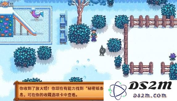 星露谷物语冬日谜团秘密纸条怎么使用 冬日谜团秘密纸条玩法攻略[多图]图片3