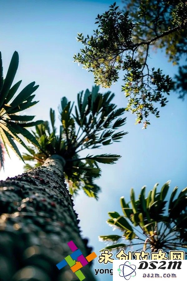 世界上唯一存活的僵尸：究竟是为了生存还是走向毁灭？揭开神秘故事背后的真实面纱