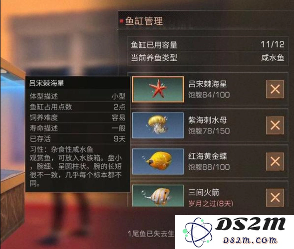 明日之后稀有鱼怎么获得