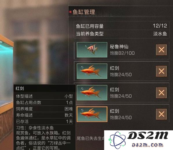如何在明日之后中成功捕获稀有鱼类的详细指南与技巧