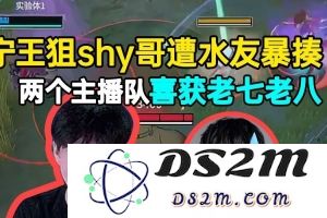 Ning永恒轮回狙击TheShy遭水友暴揍，两个主播队喜获老七老八：精彩赛事背后隐藏的故事与乐趣