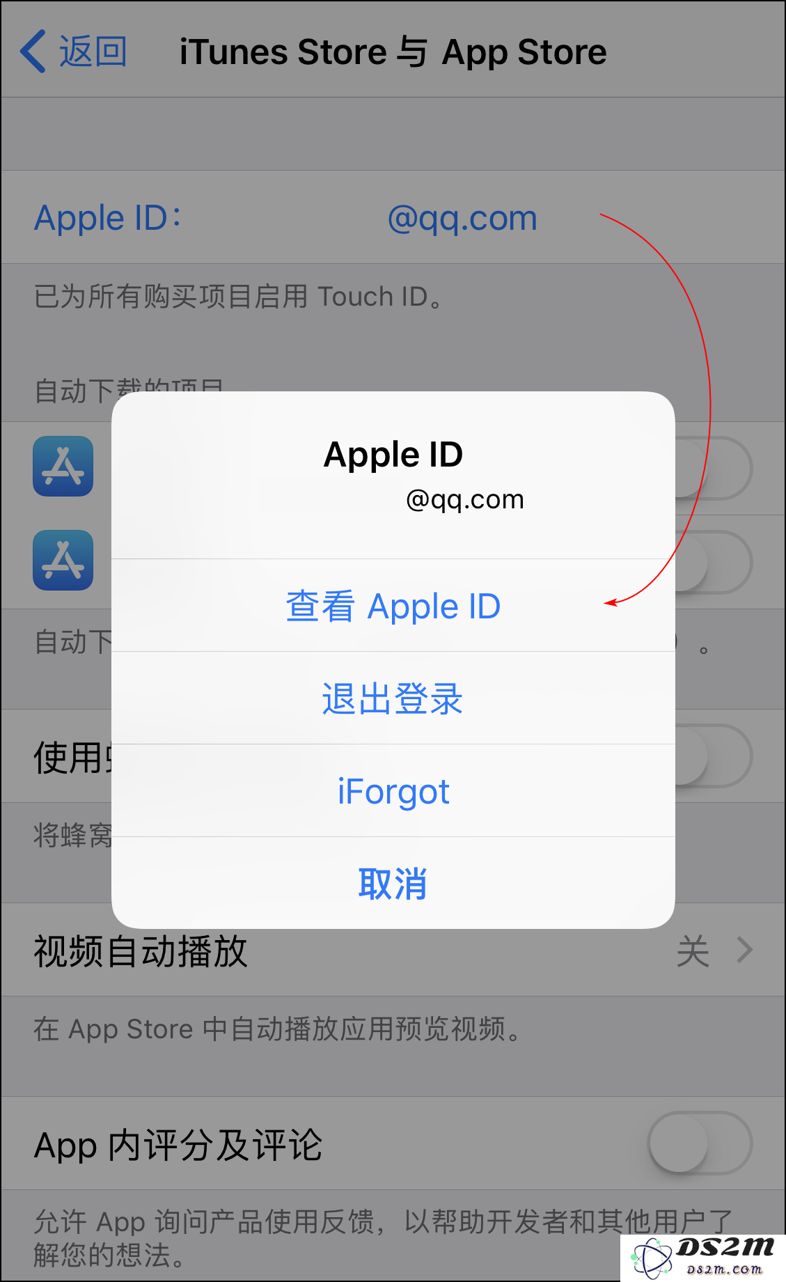 如何查看 App Store 或 iTunes Store 中的扣费项目？