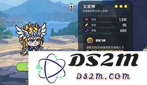 在英勇之地中，女武神应如何合理选择和搭配装备以提升战斗力