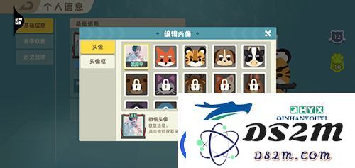 如何在小动物之星中更换头像：详细的头像更换步骤与技巧攻略