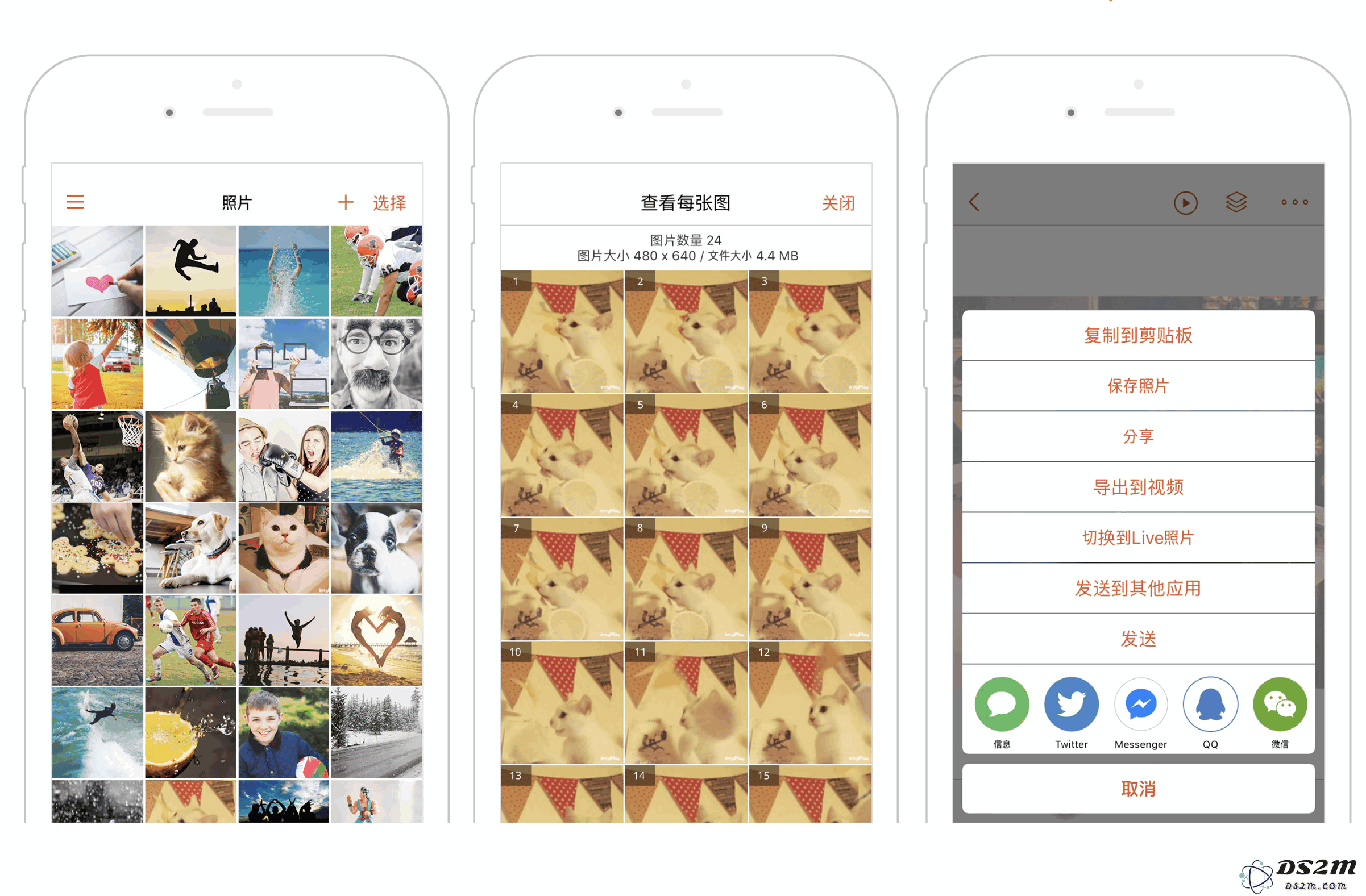 如何在 iPhone 设备上轻松查看和分享动图 gif 图片的数种方法