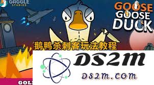 鹅鸭杀游戏中的刺客角色玩法详解以及策略分享