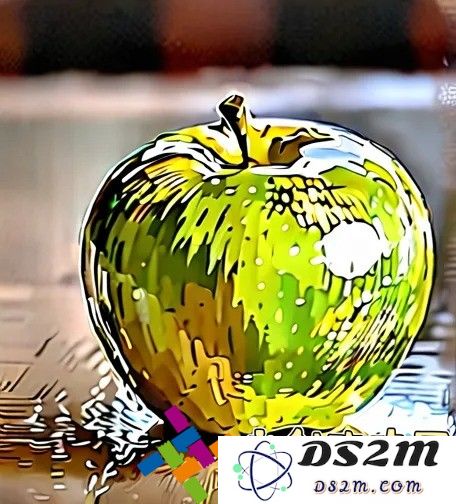 奴隶少女希尔薇：从绝望的禁锢到追寻自由的心灵成长历程