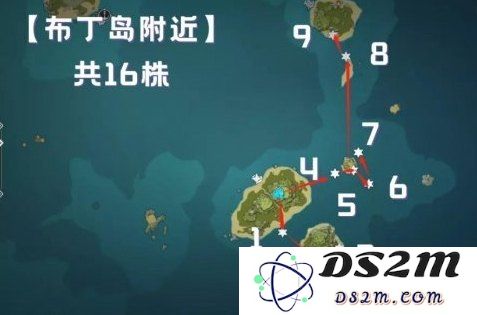 2023年最新原神海灵芝采集最佳路线图详解与实用建议