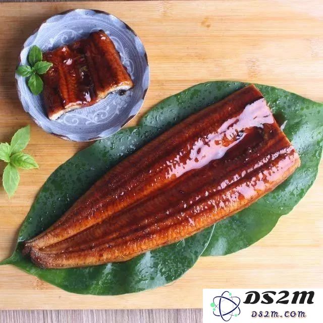 原神蒲烧鳗肉的用途详解，它在游戏中有怎样的实际价值和功能