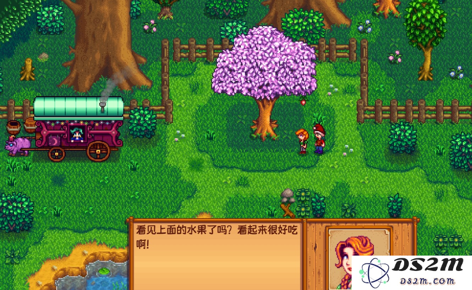 星露谷物语仙女事件有什么用