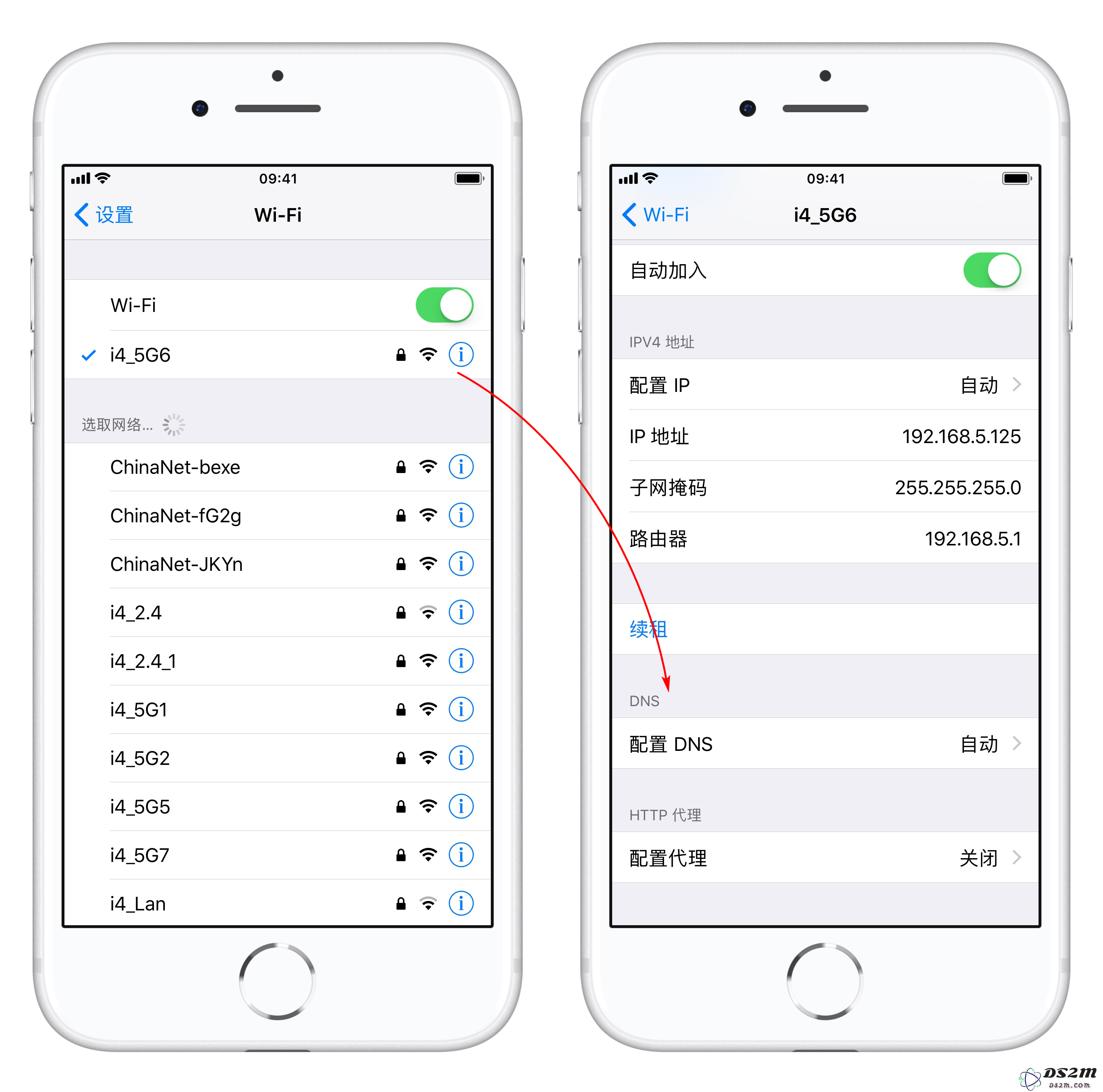 如果你的 iPhone 连接 WiFi 网速较慢，应该采取哪些有效措施来解决这个问题？