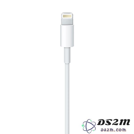 iPhone 的主要接口类型有哪些？iPhone 和 iPad 的数据线是否可以互相使用？