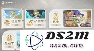 星痕共鸣装备的具体功能与使用解析，如何发挥其最大效能