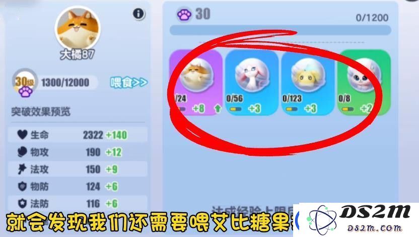 蛋仔派对艾比等级突破31级攻略