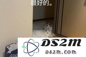 要离开TES了？Crisp更新ins：好运常在，改变就是好事：电竞圈新动向，未来何去何从