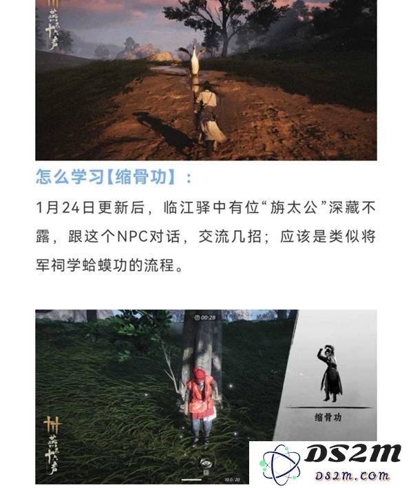 燕云十六声缩骨功在哪    缩骨功获得攻略图片2