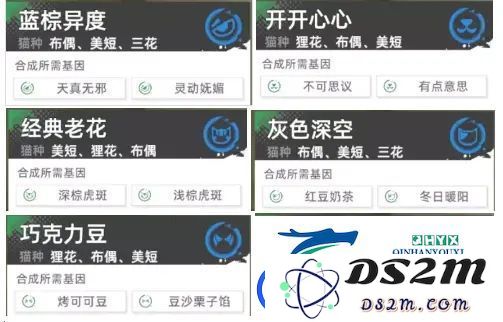 猫之城中极品基因的计算公式是什么-详细介绍与玩家分享合成极品基因的方法
