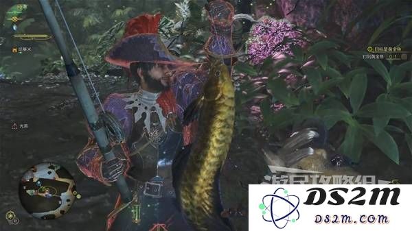 怪物猎人荒野黄金鱼怎么钓    钓黄金鱼位置一览图片6