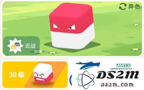 宝可梦大探险霹雳电球实力分析与进化机制全面解析