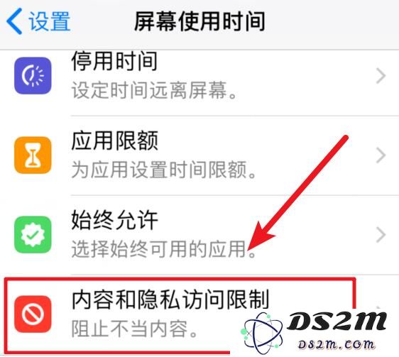 iOS 12 如何禁止删除已下载的应用？