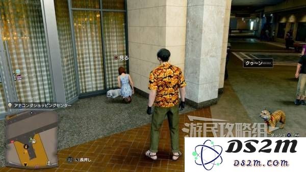 如龙8外传救护动物位置总汇   救护动物食材盘点图片19