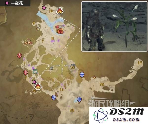 怪物猎人荒野一夜花的月华粉位置及获取途径一览图片3
