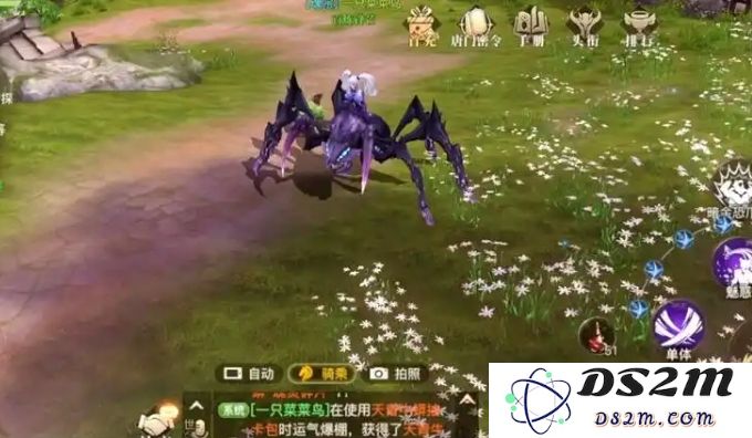 斗罗大陆手游什么宠物最强