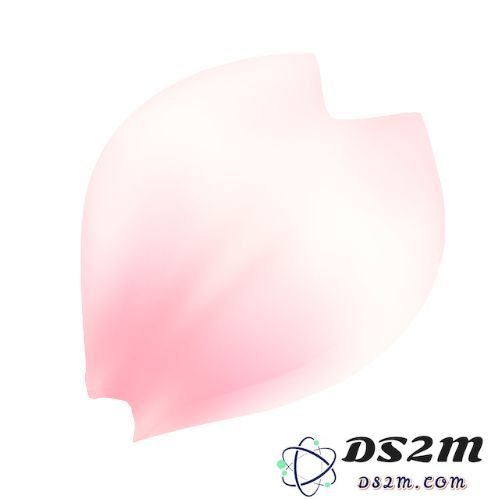 QQ飞车手游樱花瓣获取途径详解，教你如何轻松获得樱花瓣的方法