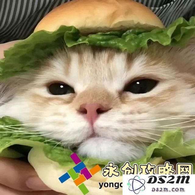 深入探索一线、二线和三线精华液：怎样挑选最合适的护肤产品为你的肌肤保驾护航？