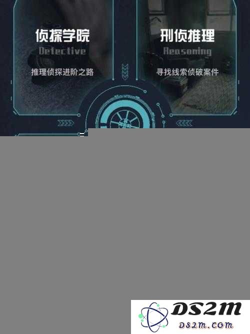 犯罪大师3.19侦探委托生日红包破解指南：探索底层逻辑与操作映射的秘密