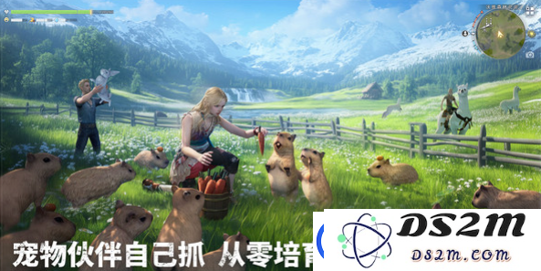 荒原曙光什么时候上线