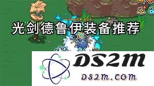 在勇敢的土地上，德鲁伊在装备选择中的策略与要点解析