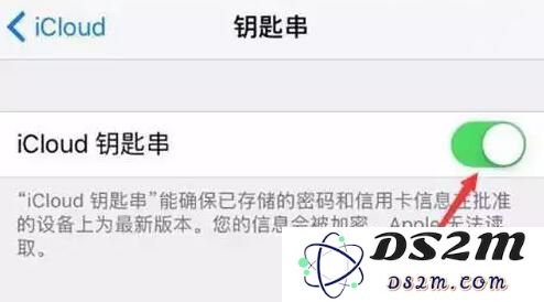 iPhone 钥匙串功能详细使用指南：轻松管理密码，不再为忘记密码而烦恼
