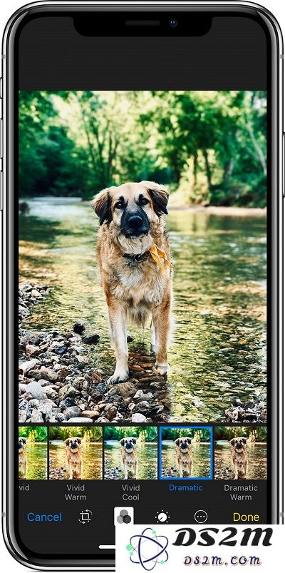 iPhone XS/XS Max 自带的图片编辑的 4 个技巧