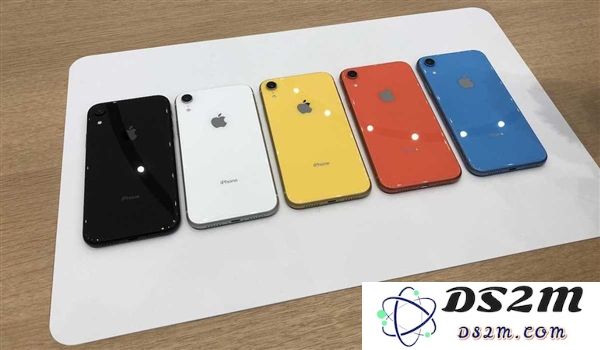 关于iPhone XR更换屏幕和电池的具体费用详解，需要多少钱才能完成这些维修？