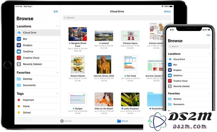 如何在 iPhone XS 和 XS Max 上高效利用「文件」应用进行文件管理和存储优化
