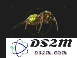 绝地潜兵2中虫族尖叫者的独特特性与能力解析