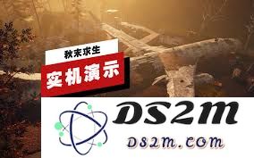 秋末生存挑战演示视频展现了怎样的求生技巧和生活策略